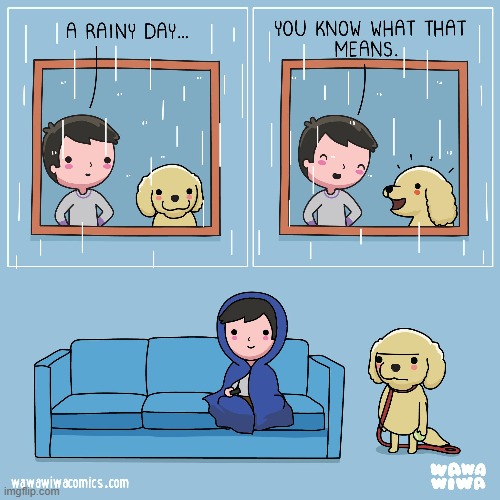 image tagged in dog,rain,blanket,tv | made w/ Imgflip meme maker