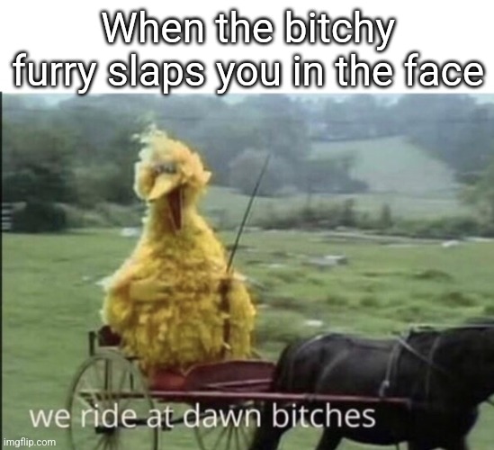 We ride at dawn bitches | When the bitchy furry slaps you in the face | image tagged in we ride at dawn bitches | made w/ Imgflip meme maker