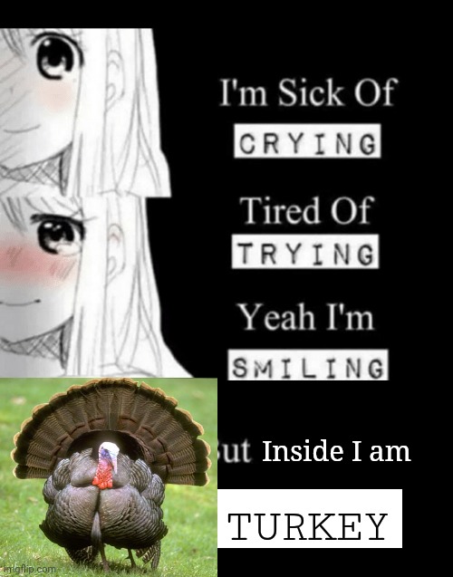 I'm sick of crying, tired of trying, yeah I'm smiling, but insid | Inside I am TURKEY | image tagged in i'm sick of crying tired of trying yeah i'm smiling but insid | made w/ Imgflip meme maker