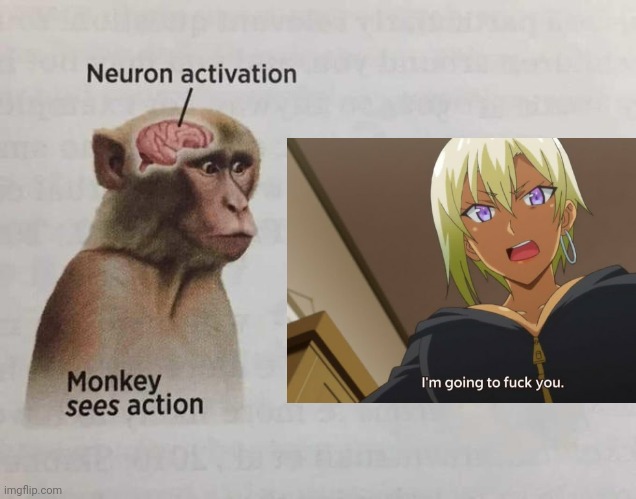 Monkey neuron activation | image tagged in monkey neuron activation | made w/ Imgflip meme maker