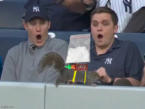 Yankee Fans Freak Out | image tagged in yankee fans freak out | made w/ Imgflip meme maker