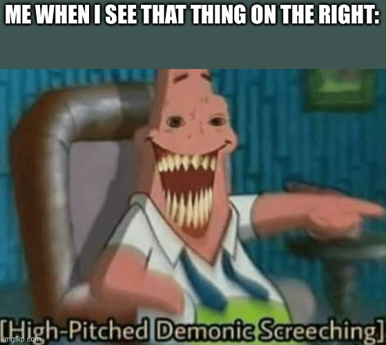 High-Pitched Demonic Screeching | ME WHEN I SEE THAT THING ON THE RIGHT: | image tagged in high-pitched demonic screeching | made w/ Imgflip meme maker