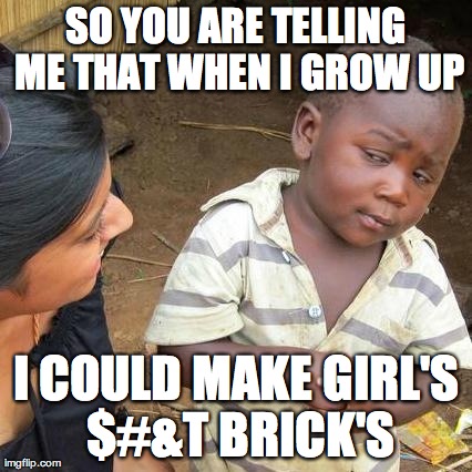 BRICK'S !!! | SO YOU ARE TELLING ME THAT WHEN I GROW UP I COULD MAKE GIRL'S $#&T BRICK'S | image tagged in third world skeptical kid,nsfw | made w/ Imgflip meme maker