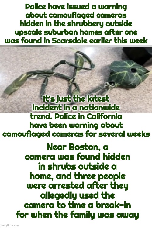 Heads Up | Police have issued a warning about camouflaged cameras hidden in the shrubbery outside upscale suburban homes after one was found in Scarsdale earlier this week; It's just the latest incident in a nationwide trend. Police in California have been warning about camouflaged cameras for several weeks; Near Boston, a camera was found hidden in shrubs outside a home, and three people were arrested after they allegedly used the camera to time a break-in for when the family was away | image tagged in thieves,thief,criminals,hidden cameras,pay attention,memes | made w/ Imgflip meme maker