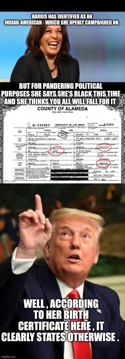 kamala harris | image tagged in kamala harris | made w/ Imgflip meme maker