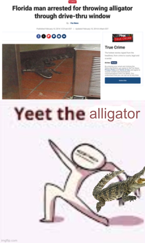 yeet | alligator | image tagged in single yeet the child panel | made w/ Imgflip meme maker