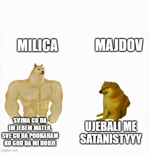 Strong dog vs weak dog | MAJDOV; MILICA; UJEBALI ME SATANISTYYY; SVIMA CU DA IM JEBEM MATER, SVE CU DA POOBARAM KO GOD DA MI DODJE | image tagged in strong dog vs weak dog | made w/ Imgflip meme maker