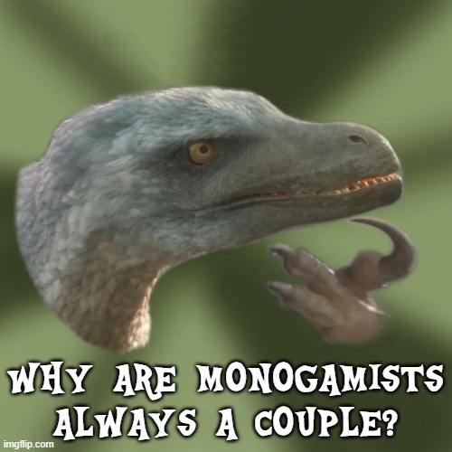 Why monogamists philosoraptor | WHY ARE MONOGAMISTS ALWAYS A COUPLE? | image tagged in new philosoraptor,monogamy | made w/ Imgflip meme maker