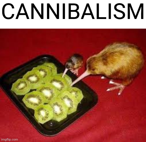 CANNIBALISM | made w/ Imgflip meme maker