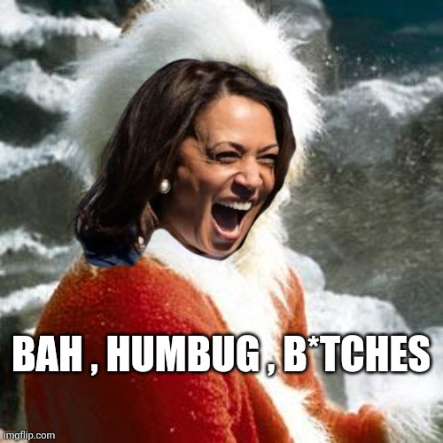 grinch | BAH , HUMBUG , B*TCHES | image tagged in grinch | made w/ Imgflip meme maker
