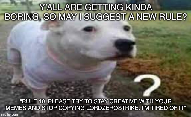 Aughhh… (I mean rule 12) | Y’ALL ARE GETTING KINDA BORING, SO MAY I SUGGEST A NEW RULE? “RULE 10. PLEASE TRY TO STAY CREATIVE WITH YOUR MEMES AND STOP COPYING LORDZEROSTRIKE. I’M TIRED OF IT” | image tagged in dog question mark | made w/ Imgflip meme maker