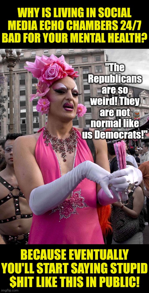 Democrats calling the GOP "weird" is like Hilter calling someone antisemitic! The hypocrisy is as thick as concrete now! | WHY IS LIVING IN SOCIAL MEDIA ECHO CHAMBERS 24/7 BAD FOR YOUR MENTAL HEALTH? "The Republicans are so weird! They are not normal like us Democrats!"; BECAUSE EVENTUALLY YOU'LL START SAYING STUPID $HIT LIKE THIS IN PUBLIC! | image tagged in crying democrats,stupid liberals,liberal hypocrisy,not listening,biased media,stupid people be like | made w/ Imgflip meme maker