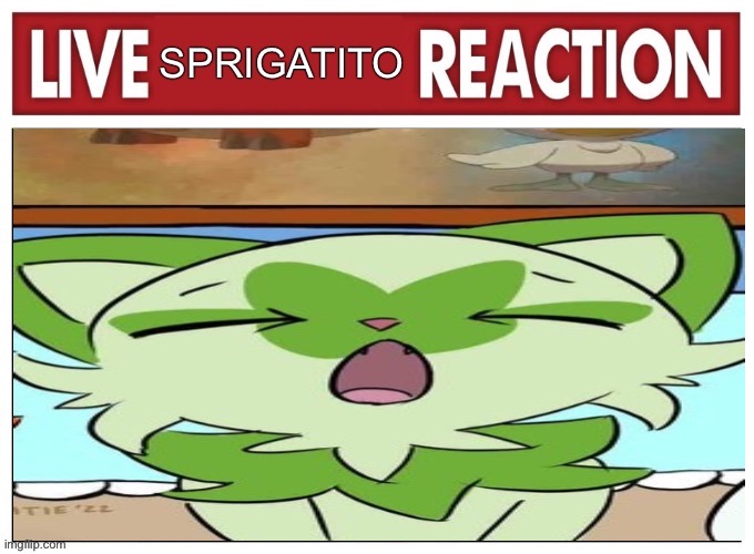 image tagged in live weird sprigatito reaction | made w/ Imgflip meme maker