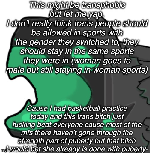 I’m sorry if this is offensive yall | This might be transphobic but let me yap.
I don’t really think trans people should be allowed in sports with the gender they switched to, they should stay in the same sports they were in (woman goes to male but still staying in woman sports); Cause I had basketball practice today and this trans bitch just fucking beat everyone cause most of the mfs there haven’t gone through the strength part of puberty but that bitch I would bet she already is done with puberty- | image tagged in protogen cri | made w/ Imgflip meme maker