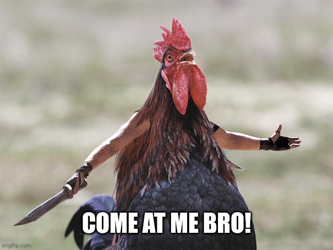 Come At Me Bro | COME AT ME BRO! | image tagged in come at me bro | made w/ Imgflip meme maker