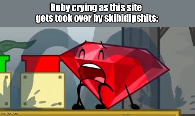 BFDI Ruby Crying | Ruby crying as this site 
gets took over by skibidipshits: | image tagged in bfdi ruby crying | made w/ Imgflip meme maker