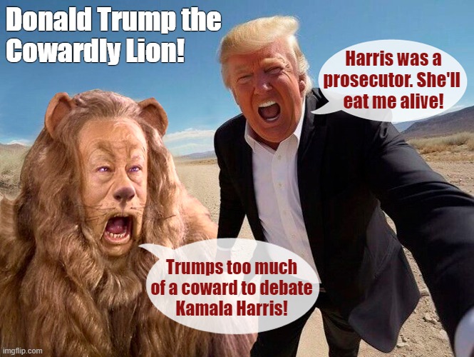 Trump says he's agreed to a Fox News debate, in an attempt to avoid Harris on ABC | Donald Trump the
Cowardly Lion! Harris was a
prosecutor. She'll 
eat me alive! Trumps too much
of a coward to debate
Kamala Harris! | image tagged in donald trump,kamala harris,presidential debate,cowardly lion,trump lion | made w/ Imgflip meme maker