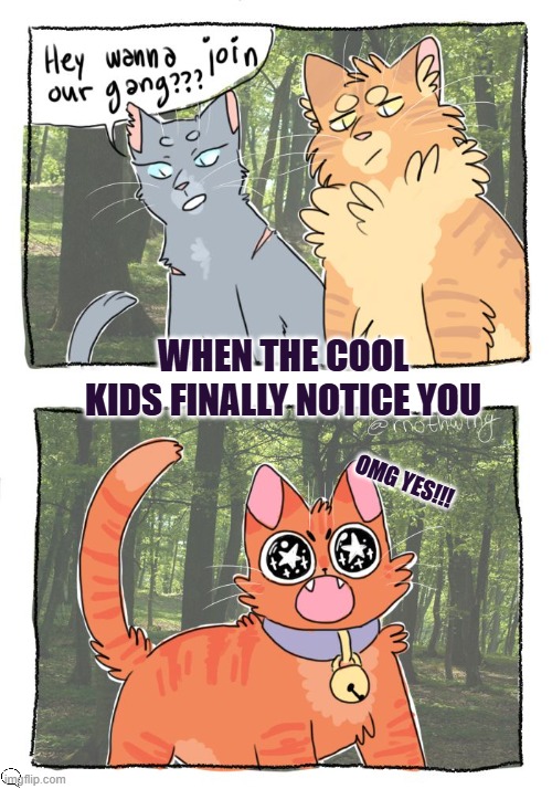 when the cool kids finally notice u | WHEN THE COOL KIDS FINALLY NOTICE YOU; OMG YES!!! | image tagged in warrior cats meme | made w/ Imgflip meme maker