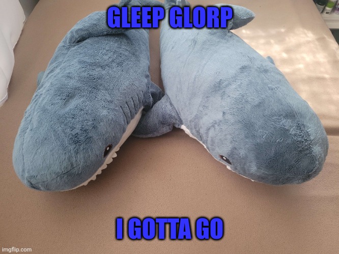 I'll be back in like 6 hours :/ | GLEEP GLORP; I GOTTA GO | image tagged in my brother's and my blahaj | made w/ Imgflip meme maker