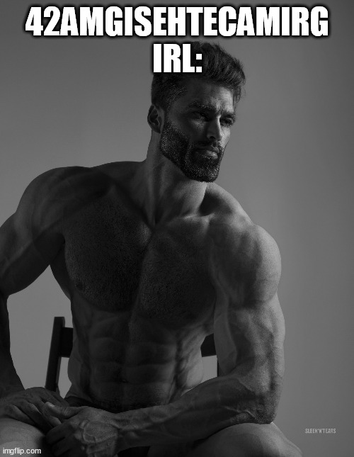 Giga Chad | 42AMGISEHTECAMIRG IRL: | image tagged in giga chad | made w/ Imgflip meme maker