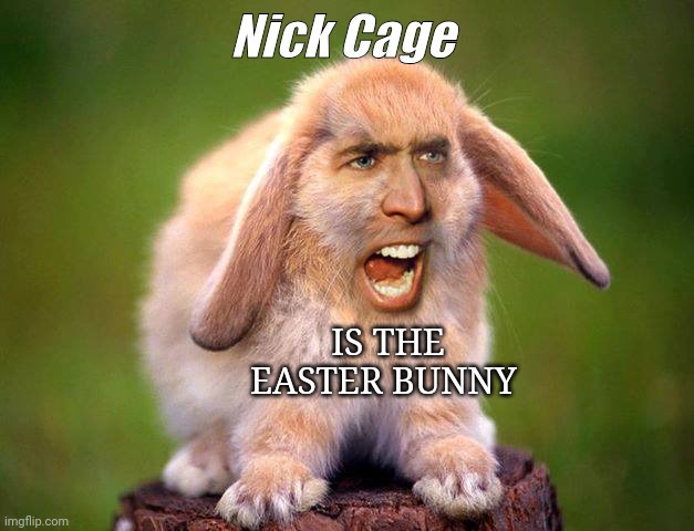 bunny nick cage faceswap | Nick Cage; IS THE EASTER BUNNY | image tagged in bunny nick cage faceswap | made w/ Imgflip meme maker