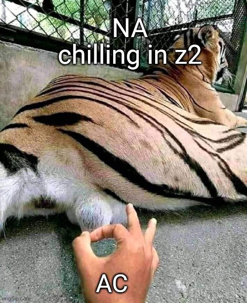 Poking Tiger | NA chilling in z2; AC | image tagged in poking tiger | made w/ Imgflip meme maker