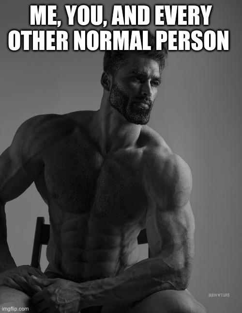 Giga Chad | ME, YOU, AND EVERY OTHER NORMAL PERSON | image tagged in giga chad | made w/ Imgflip meme maker