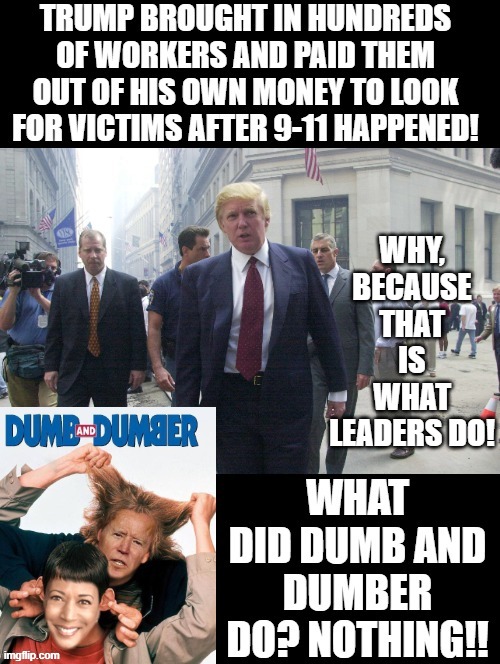 That is what leaders do!! | WHY, BECAUSE THAT IS WHAT LEADERS DO! | image tagged in leadership,dumb and dumber | made w/ Imgflip meme maker