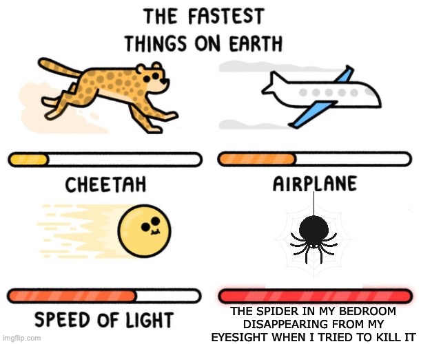 and then i was too afraid to fall asleep... | THE SPIDER IN MY BEDROOM DISAPPEARING FROM MY EYESIGHT WHEN I TRIED TO KILL IT | image tagged in fastest thing possible,sleep,spider,why | made w/ Imgflip meme maker