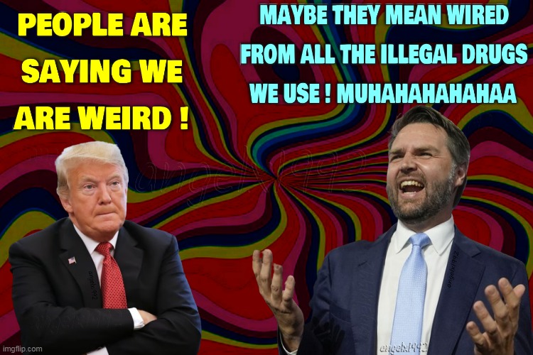 wired republicans | image tagged in drugs,maga cult,jd vance,donald trump is an idiot,maga morons,weird | made w/ Imgflip meme maker