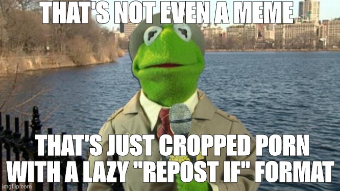 Kermit News Report | THAT'S NOT EVEN A MEME; THAT'S JUST CROPPED PORN WITH A LAZY "REPOST IF" FORMAT | image tagged in kermit news report | made w/ Imgflip meme maker