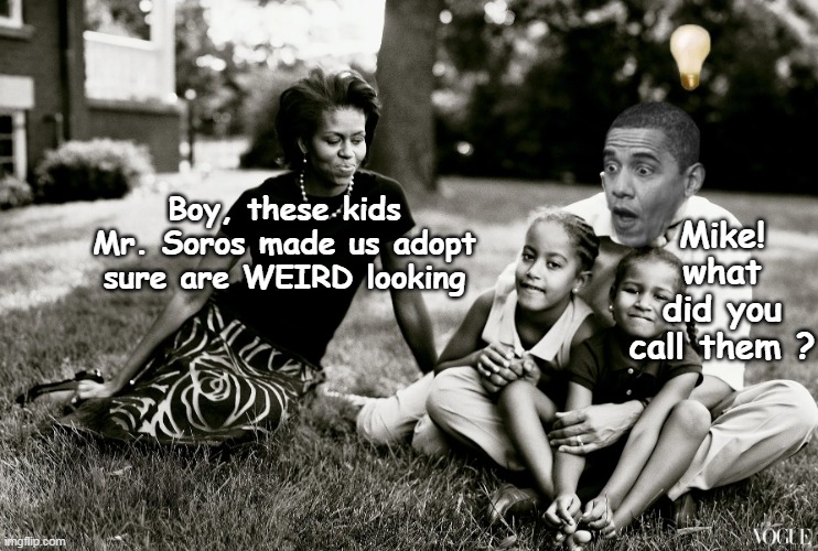 Genesis for greatest catchword OF ALL TIME (right from the TOP) | Mike! what did you call them ? Boy, these kids Mr. Soros made us adopt sure are WEIRD looking | image tagged in obama weird soros meme | made w/ Imgflip meme maker