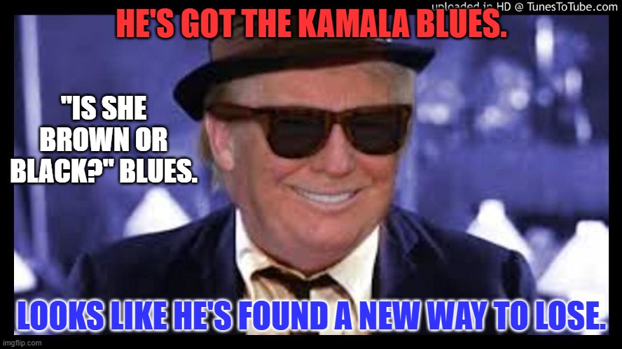 The "Old White Guy," says "She Ain't Black Enough," Blues. | HE'S GOT THE KAMALA BLUES. "IS SHE BROWN OR BLACK?" BLUES. LOOKS LIKE HE'S FOUND A NEW WAY TO LOSE. | image tagged in politics | made w/ Imgflip meme maker