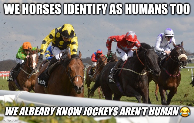 Racehorses | WE HORSES IDENTIFY AS HUMANS TOO WE ALREADY KNOW JOCKEYS AREN’T HUMAN ? | image tagged in racehorses | made w/ Imgflip meme maker