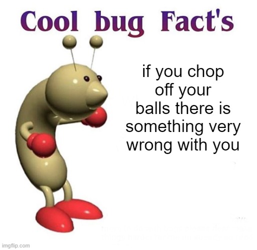 Cool Bug Facts | if you chop off your balls there is something very wrong with you | image tagged in cool bug facts | made w/ Imgflip meme maker