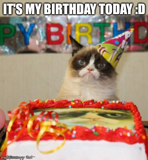 :D | IT'S MY BIRTHDAY TODAY :D | image tagged in memes,grumpy cat birthday,grumpy cat | made w/ Imgflip meme maker