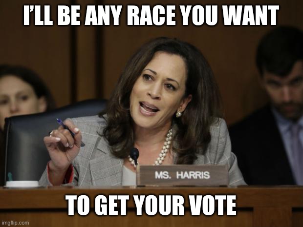 Kamala Harris | I’LL BE ANY RACE YOU WANT TO GET YOUR VOTE | image tagged in kamala harris | made w/ Imgflip meme maker