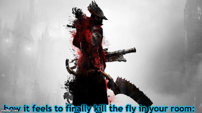 Bloodborne | how it feels to finally kill the fly in your room: | image tagged in bloodborne | made w/ Imgflip meme maker