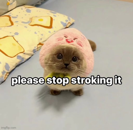 image tagged in no,i will not stop stroking it | made w/ Imgflip meme maker