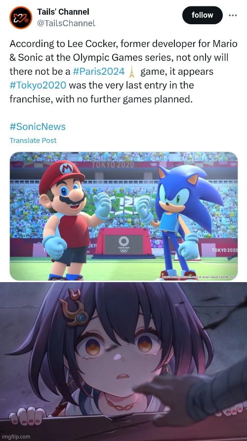 Sorry to all Mario & Sonic at the Olympic Games fans. :( | image tagged in mario and sonic at the olympic games,sad | made w/ Imgflip meme maker