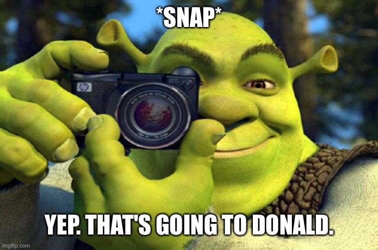 shrek camera | *SNAP* YEP. THAT'S GOING TO DONALD. | image tagged in shrek camera | made w/ Imgflip meme maker