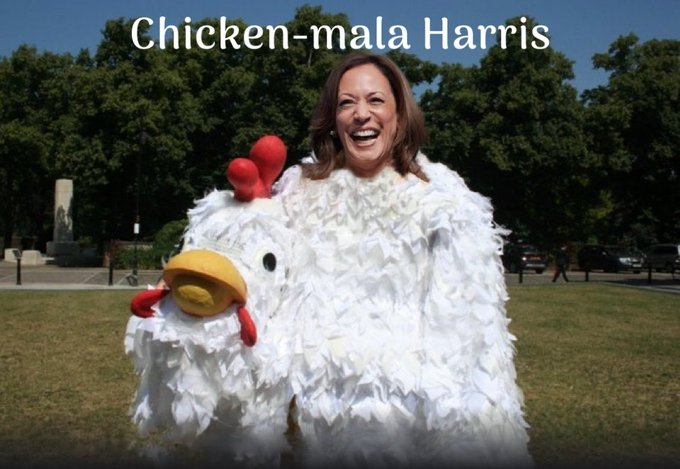 Kamala Chicken Blank Meme Template