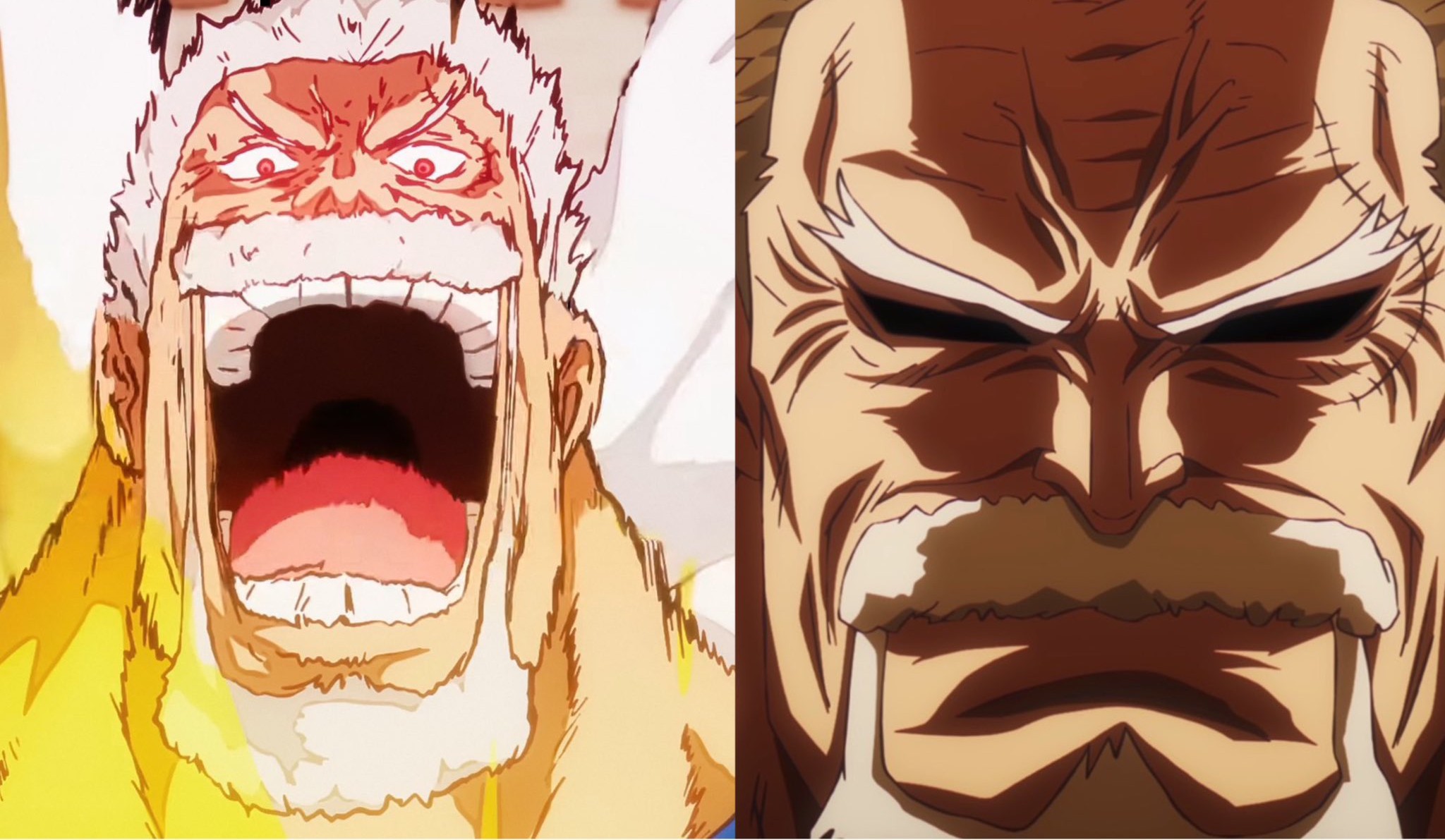 Monkey D. Garp's smile and frown Blank Meme Template