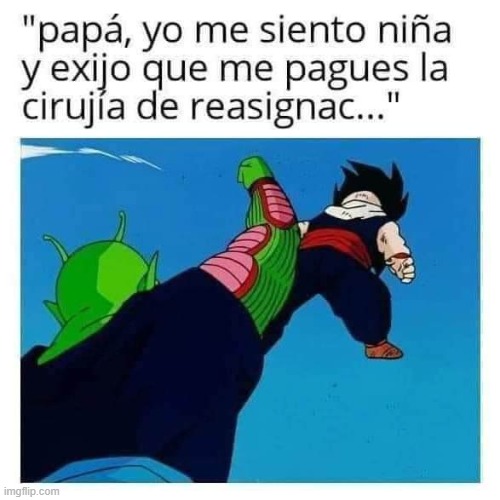 8z6n1e.jpg
