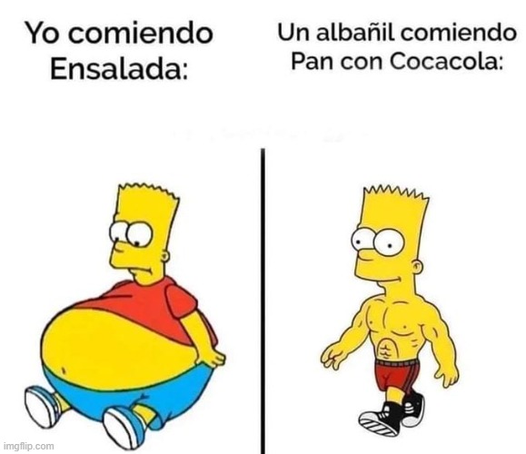 8z6n8r.jpg
