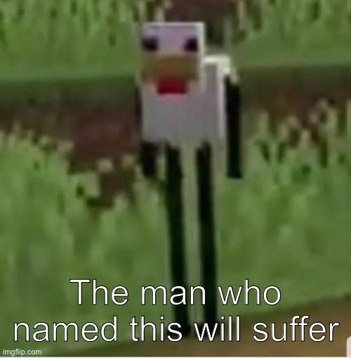 Cursed Minecraft chicken | The man who named this will suffer | image tagged in cursed minecraft chicken | made w/ Imgflip meme maker