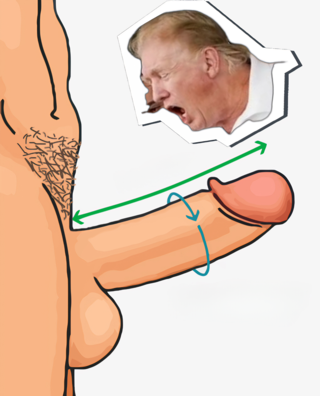 Trump Dick Blank Meme Template