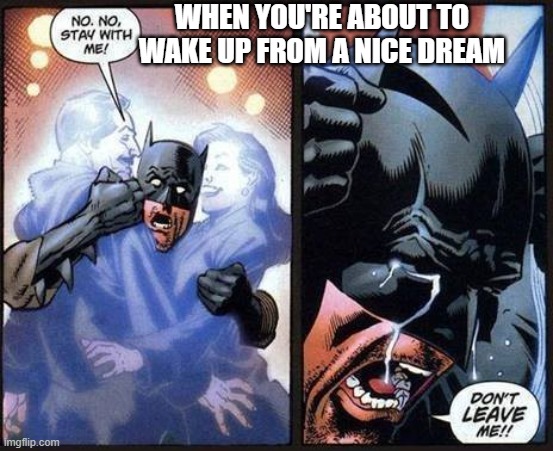 THIS HAPPENED LAST NIGHT | WHEN YOU'RE ABOUT TO WAKE UP FROM A NICE DREAM | image tagged in batman don't leave me | made w/ Imgflip meme maker