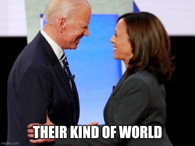 Biden Harris | THEIR KIND OF WORLD | image tagged in biden harris | made w/ Imgflip meme maker