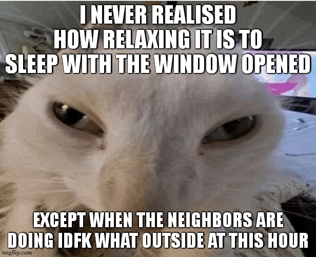 Pluh cat | I NEVER REALISED HOW RELAXING IT IS TO SLEEP WITH THE WINDOW OPENED; EXCEPT WHEN THE NEIGHBORS ARE DOING IDFK WHAT OUTSIDE AT THIS HOUR | image tagged in g | made w/ Imgflip meme maker